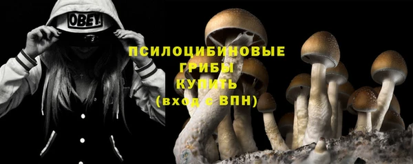 2c-b Вяземский