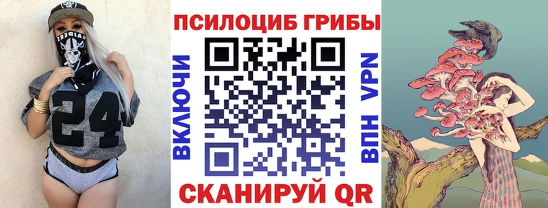 Галлюциногенные грибы Psilocybine cubensis  Купить где  Очёр 